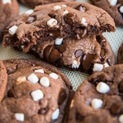 Hot Cocoa Cookies