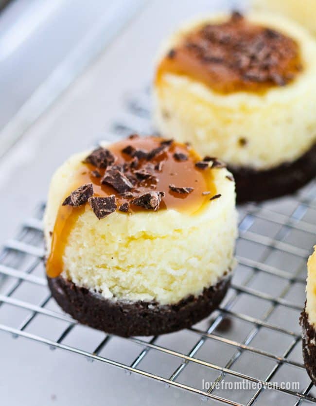 Caramel Cheesecake Minis