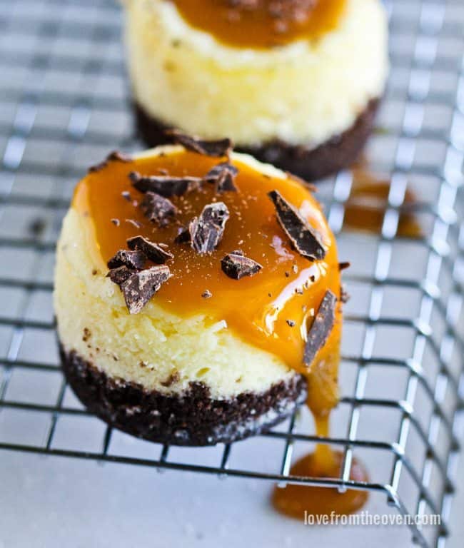 Salted Caramel Cheesecake Minis