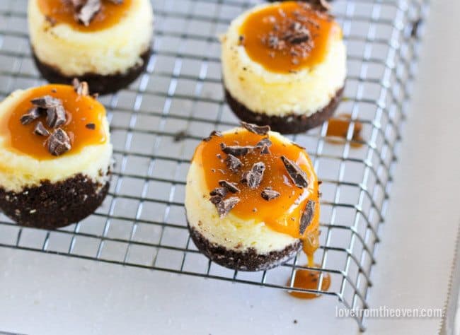 Mini Cheesecakes