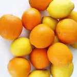 Fresh picked Arizona citrus