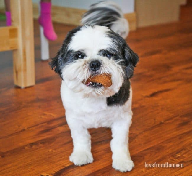 dog treat mixes