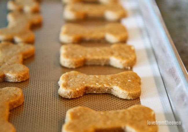 Easy Dog Treat Recipe