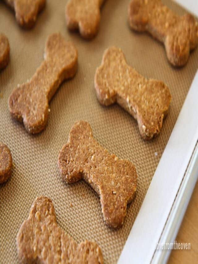 Homemade Dog Treats Story • Love From The Oven