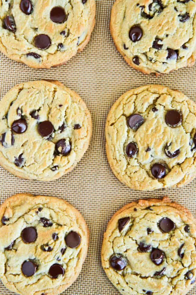 Chewy Chocolate Chip Cookie Recipe