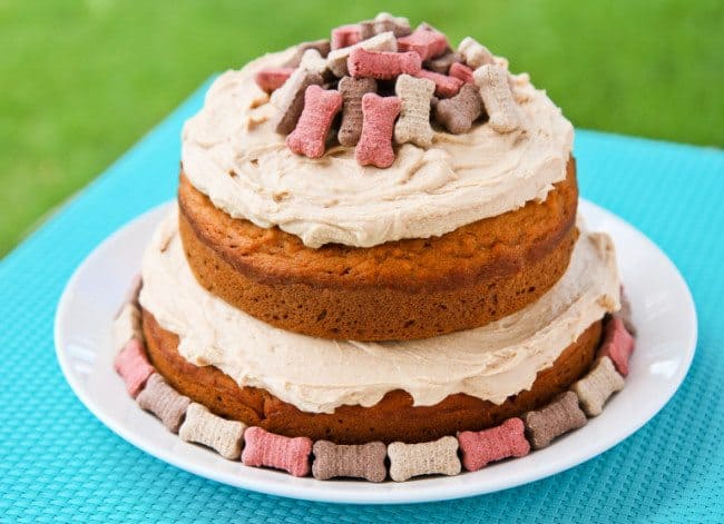 making a cake for a dog