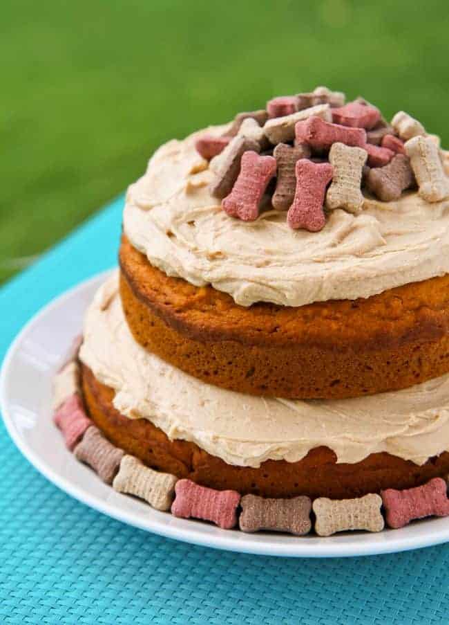 no bake cake for dogs