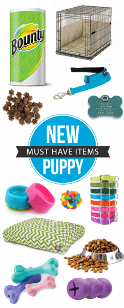 List Of New Puppy Items