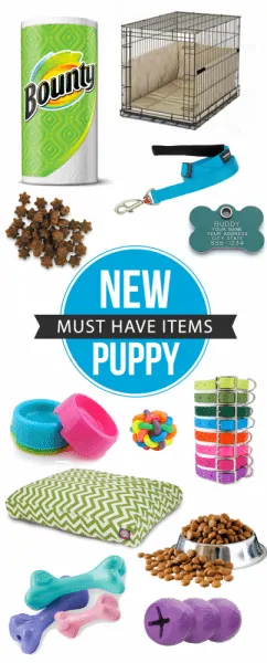 List Of New Puppy Items