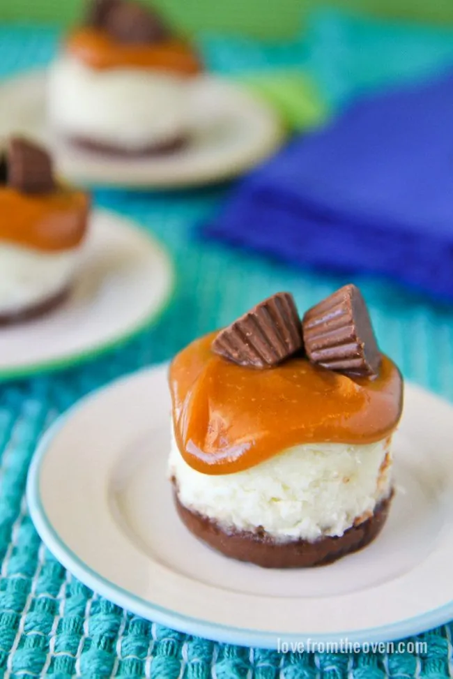 Peanut Butter Cup Mini Cheesecakes