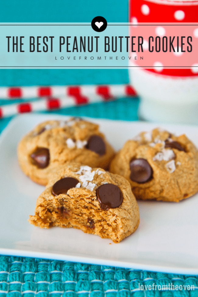 The Best Peanut Butter Cookie Recipe - Love From The Oven