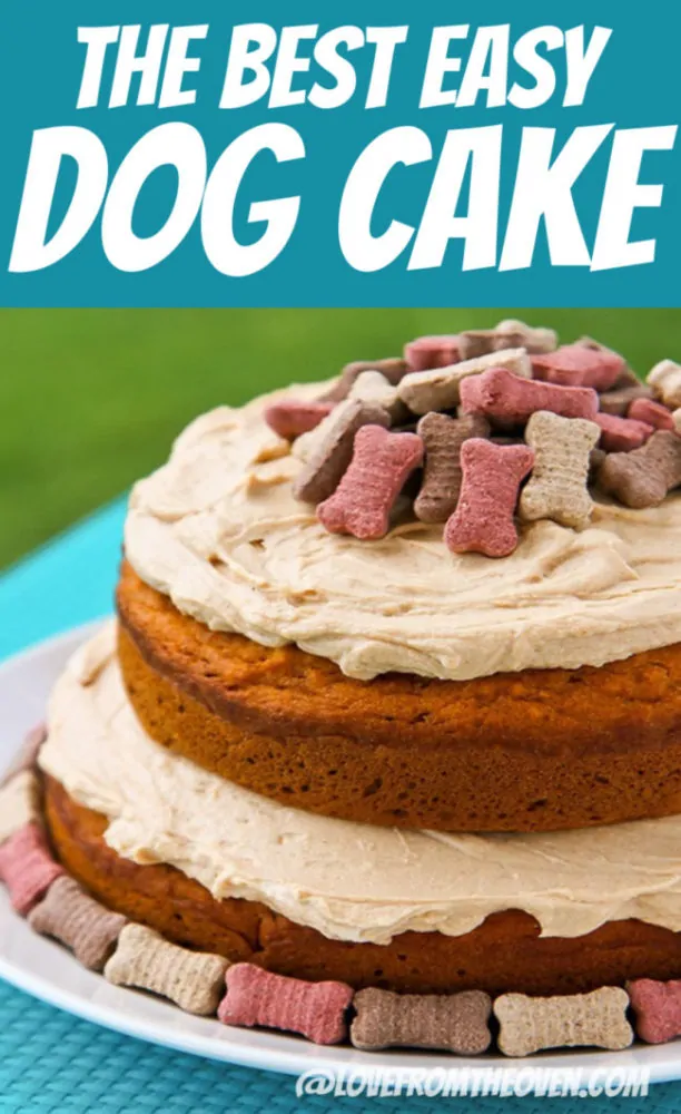 Dog cake made in two layers, topped with frosting and decorated with small dog bones