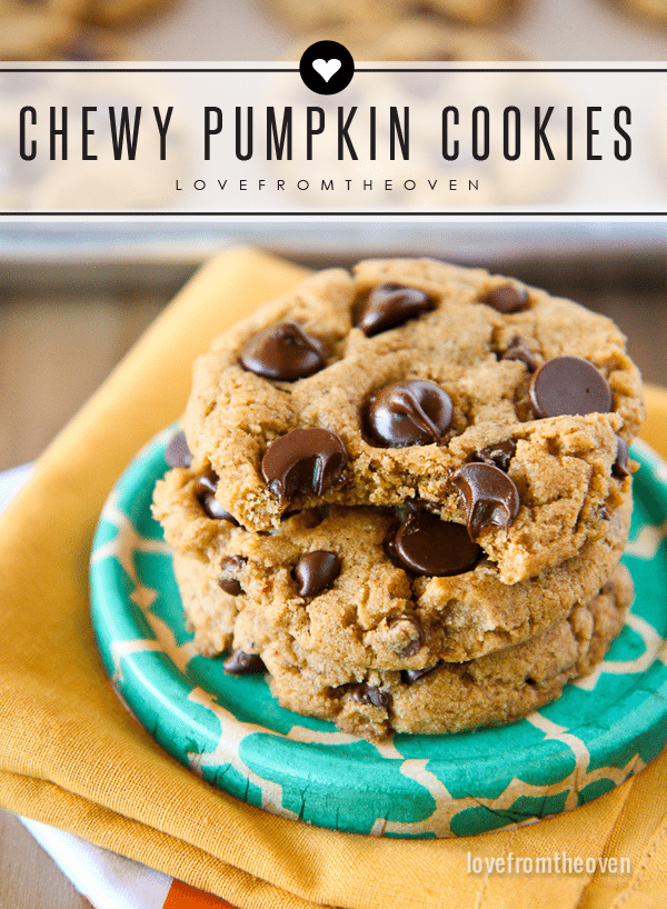 Recipe for chewy pumpkin cookies that aren't cakey. These are so good!