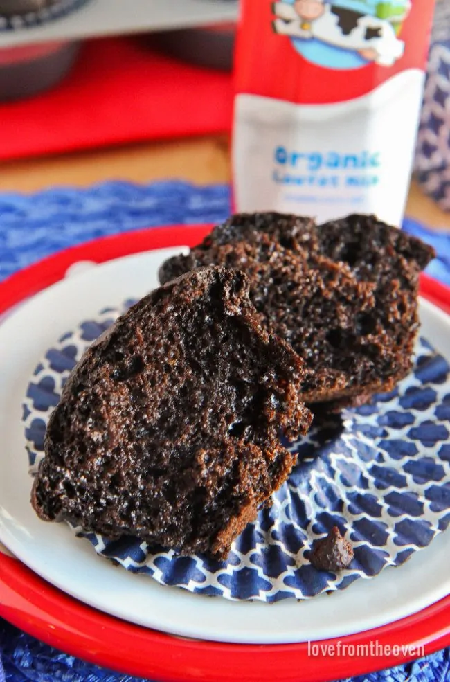 Healthy Chocolate Muffin Recipe