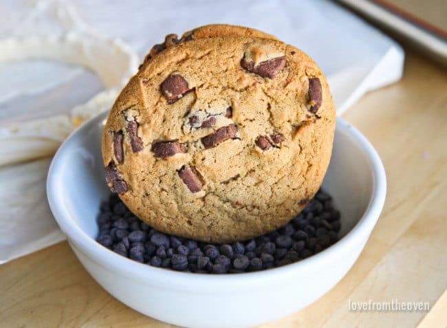 Homemade Ice Cream Sandwiches