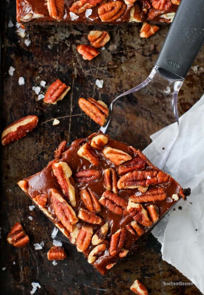 Chocolate Caramel Shortbread Bars