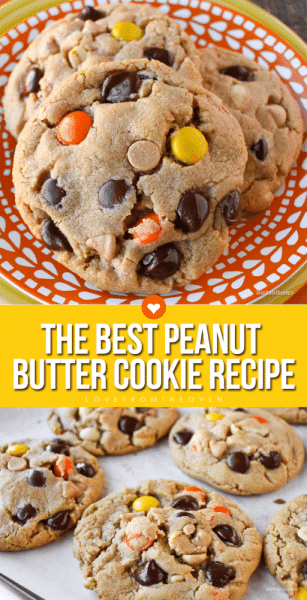 The Best Peanut Butter Cookie Recipe • Love From The Oven