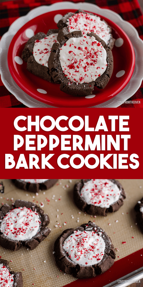 Chocolate peppermint bark Christmas cookies 