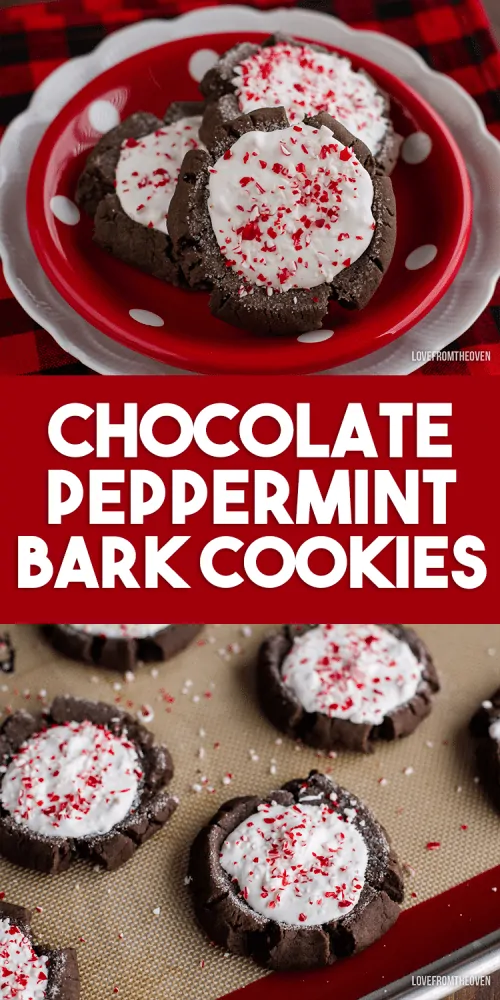 Chocolate peppermint bark Christmas cookies 