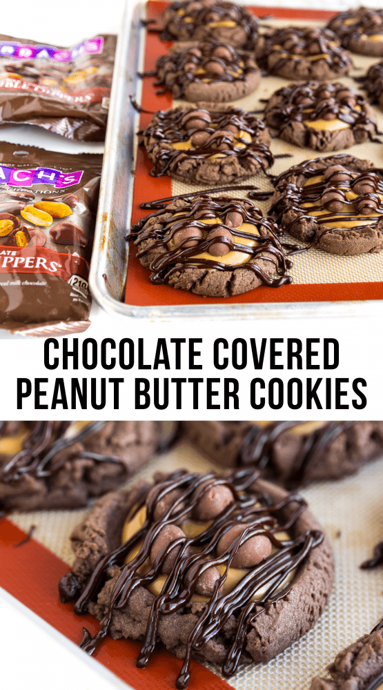 Chocolate Covered Peanut Butter Cookies