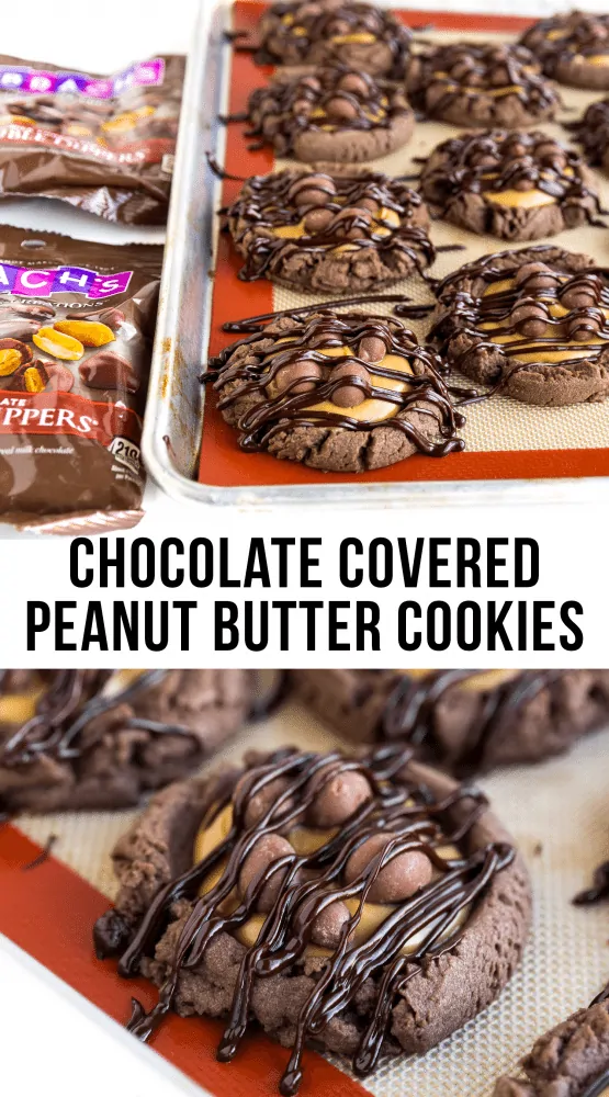 Chocolate Covered Peanut Butter Cookies