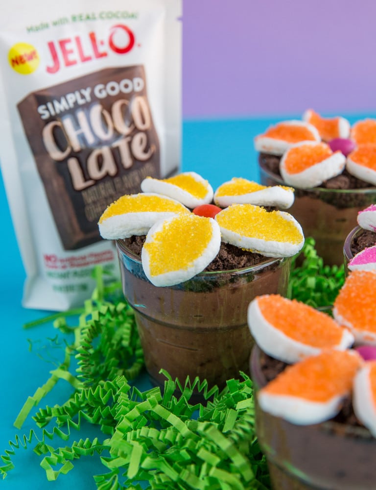 Flower Pot Pudding Dirt Cups • Love From The Oven