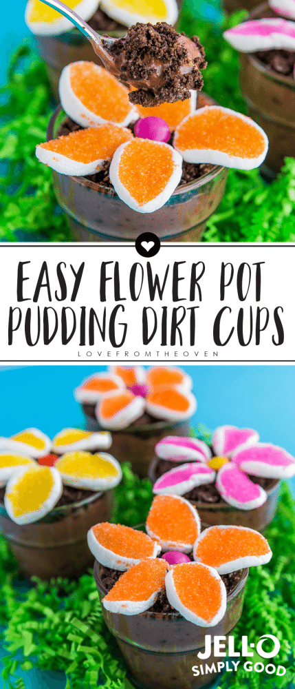 Flower Pot Pudding Dirt Cups