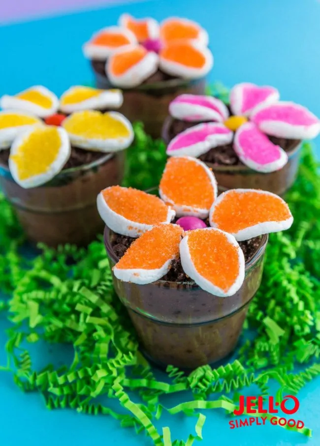 Pudding Dirt Cups