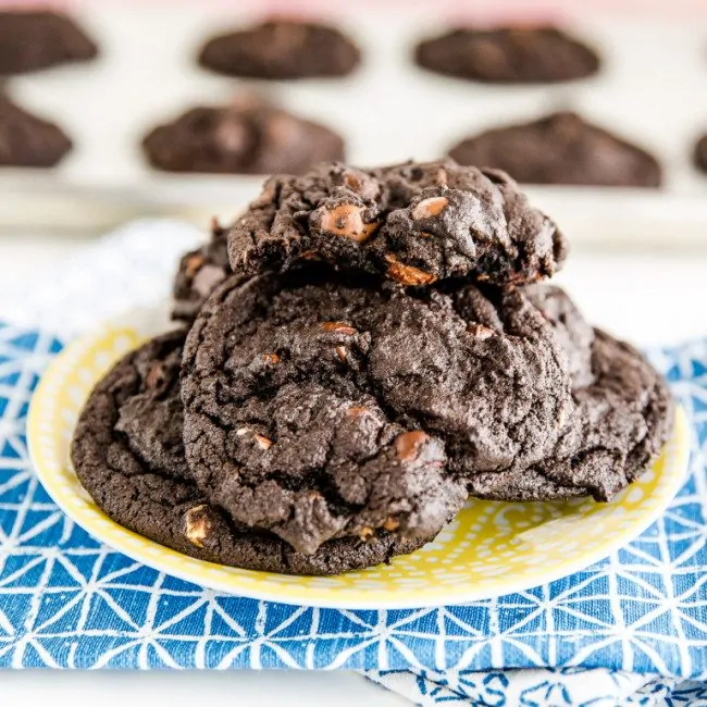 Chocolate Chocolate Chip Cookie Recipe