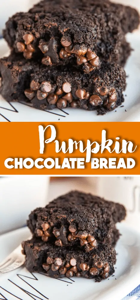 Pumpkin Chocolate Bread Recipe