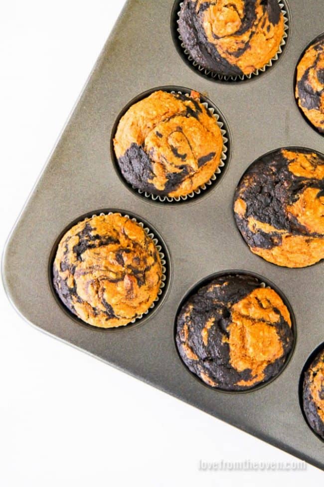 Chocolate Pumpkin Muffins