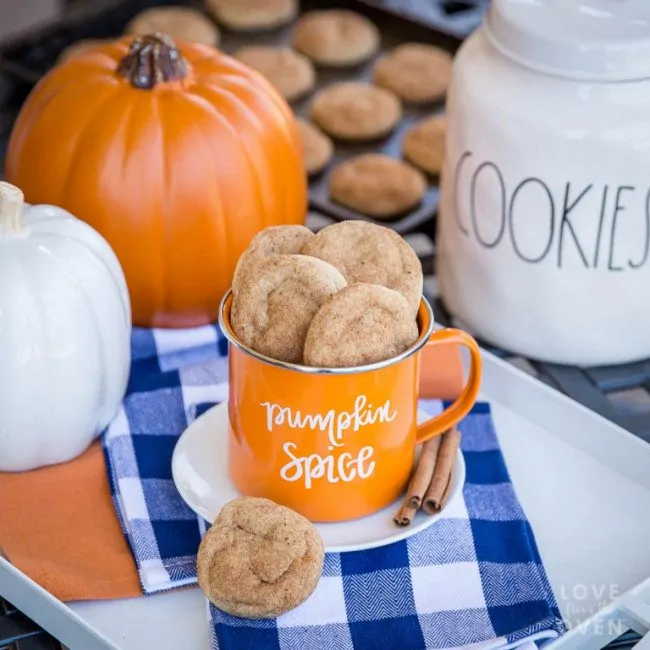 Pumpkin Snickerdoodle Recipe