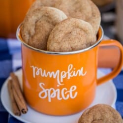 PumpkinSnickerdoodles