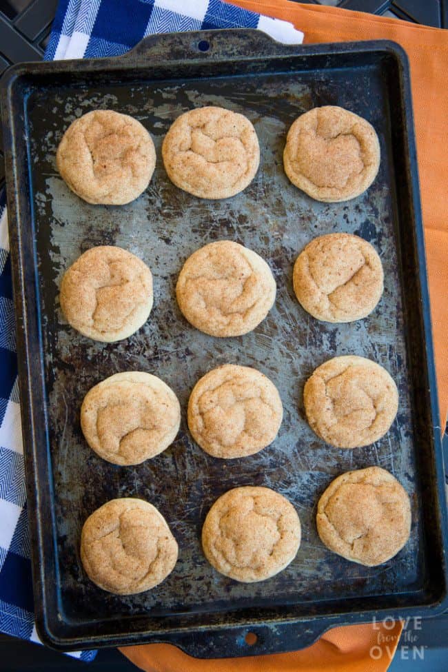 Pumpkin Spice Cookies