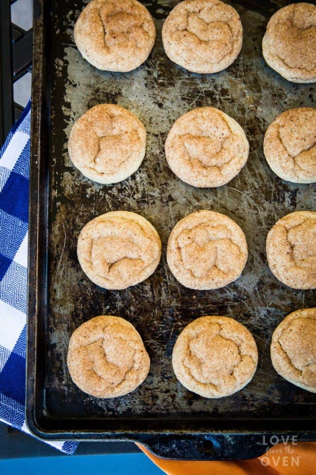 Pumpkin Snickerdoodle Cookies 