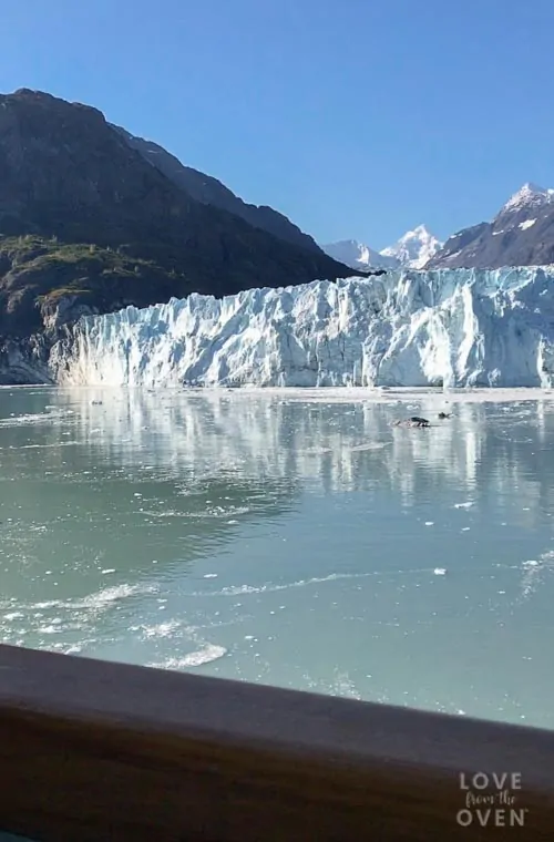 Alaska Cruise Glaciers