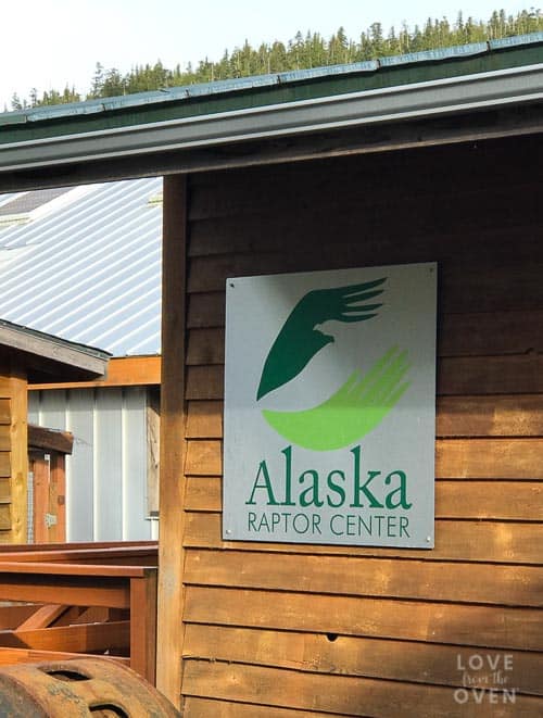 Ketchikan Raptor Center