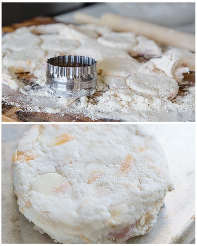 Cottage Cheese Biscuits Recipe