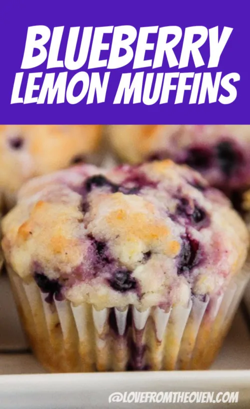 Lemon Blueberry Muffins - Love From The Oven