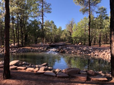 Pinetop AZ