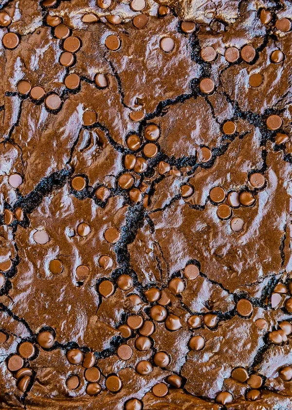 Close up photo of homemade chocolate brownies with chocolate chips