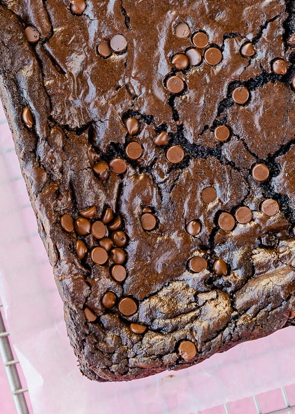 Chocolate brownies that are not cut, on a pink background