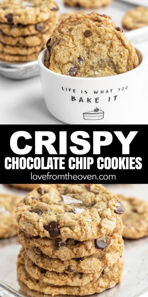 Crispy Chocolate Chip Cookie Recipe 