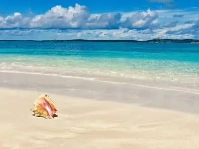 Beach in Caribbean with sand and turquoise water with a conch shell sitting on beach