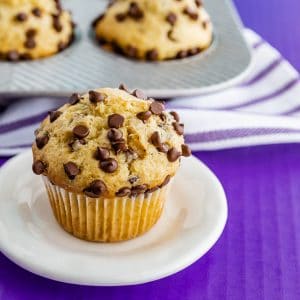 A chocolate chip muffin on a white plate