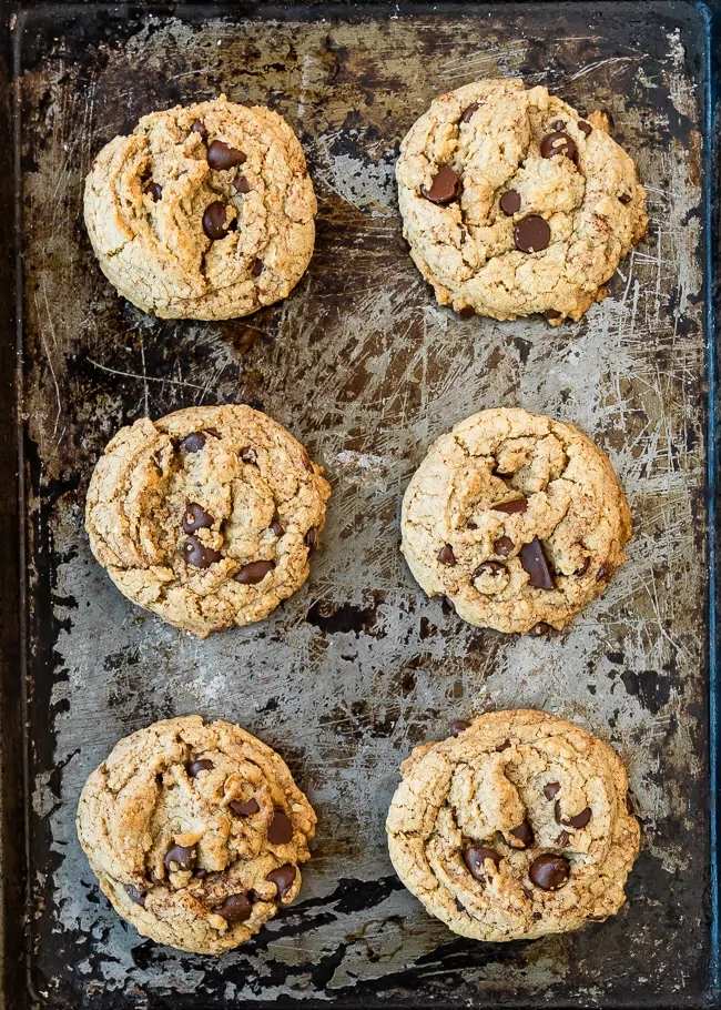 Neiman Marcus $250 Gluten Free Chocolate Chip Cookies - Gluten Free on a  Shoestring