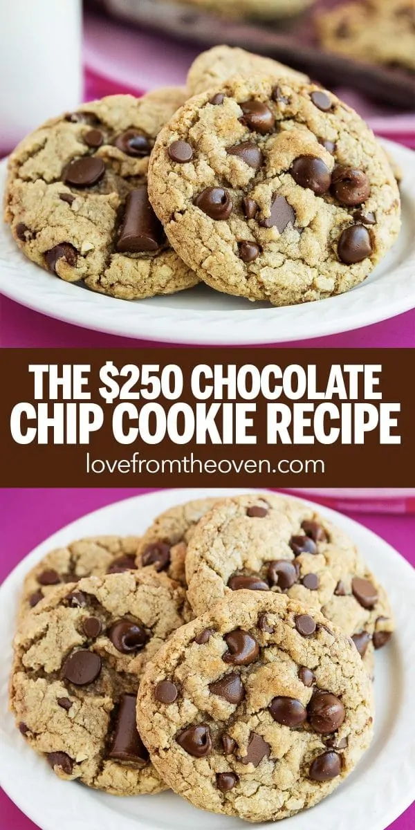 $250 Neiman Marcus Chocolate Chip Cookies - Hot Rod's Recipes