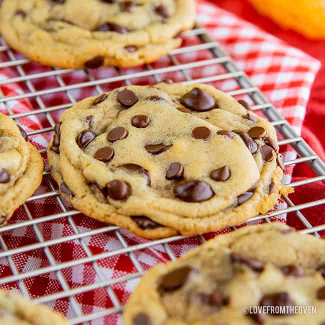 A close up of Chocolate chip cookies