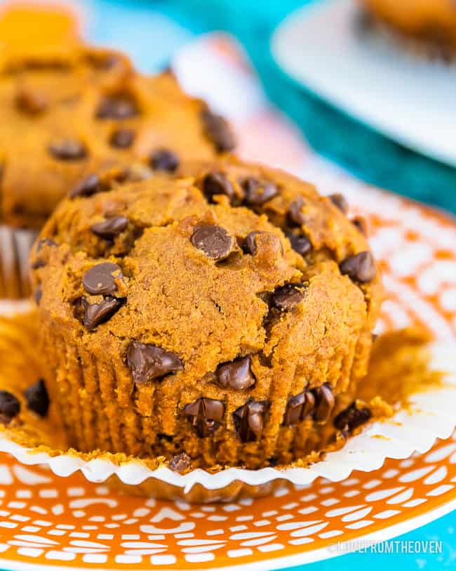 A vegan pumpkin muffin with mini chocolate chips sitting on an orange and white plate