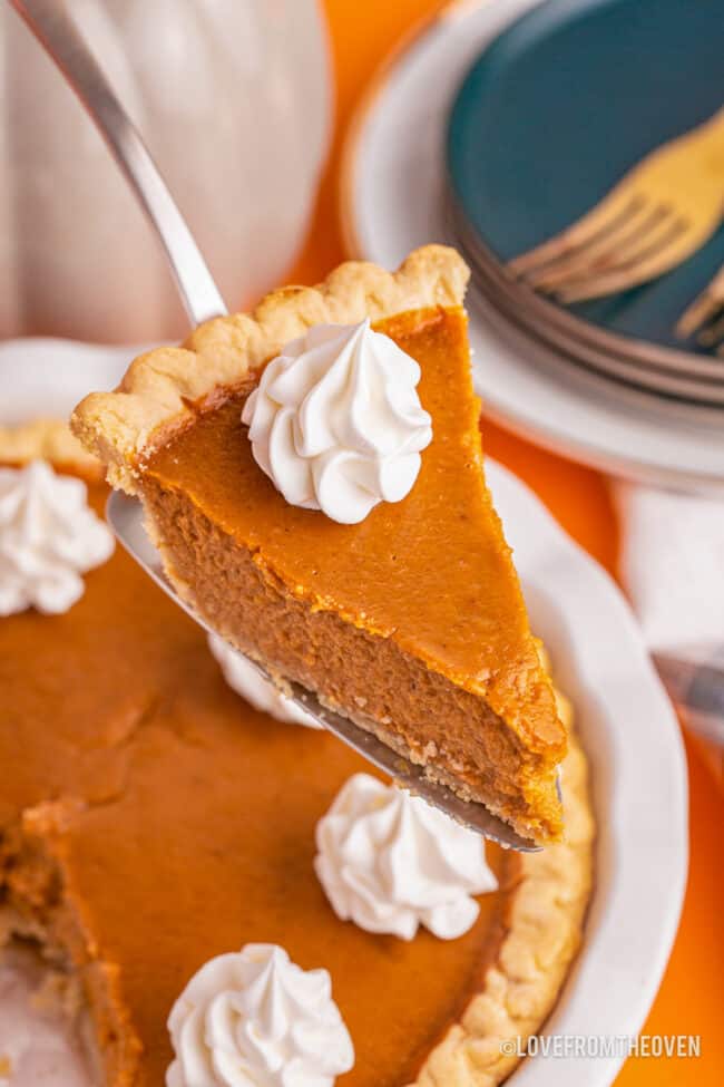 A slice of a pumpkin pie